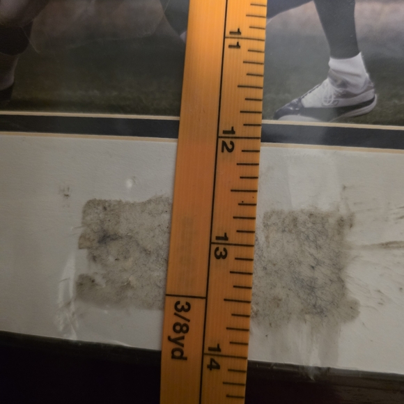 2004 Dallas Cowboys Team Photo Collage (Officially Licensed NFL Collectible) - Picture 7 of 7